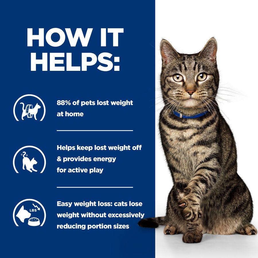 Hills metabolic cat food 8kg online